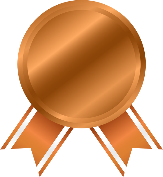 Bronze medals. awards medal. champions medal. Champion winner award medal. bronze trophy.